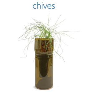 chives grow bottle