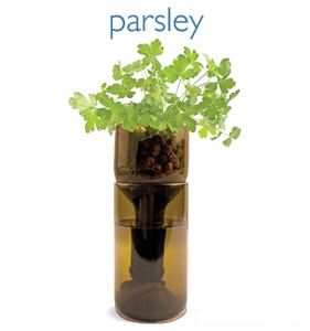 parsely grow bottle