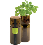 hydroponic grow bottles