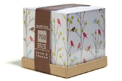 snow & graham notecards and note blocks