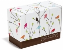 snow & graham notecards